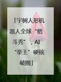 宇树人形机器人全球“格斗秀”，AI“拳王”硬核破圈