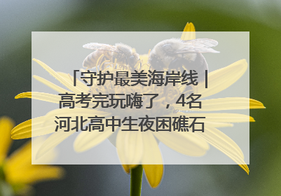 守护最美海岸线｜高考完玩嗨了，4名河北高中生夜困礁石！青岛救援队火速出动救上岸
