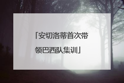 安切洛蒂首次带领巴西队集训