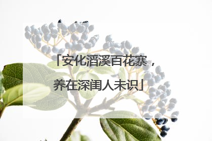 安化滔溪百花寨，养在深闺人未识