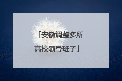 安徽调整多所高校领导班子