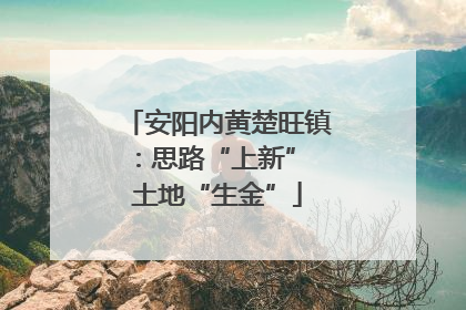 安阳内黄楚旺镇：思路“上新” 土地“生金”