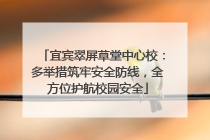 宜宾翠屏草堂中心校：多举措筑牢安全防线，全方位护航校园安全