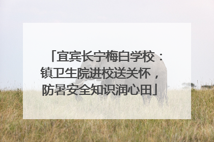 宜宾长宁梅白学校：镇卫生院进校送关怀，防暑安全知识润心田