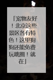 宠物友好！北京这些景区各有特色！这里狗狗还能免费玩跳圈！就在