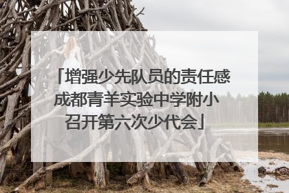 增强少先队员的责任感 成都青羊实验中学附小召开第六次少代会
