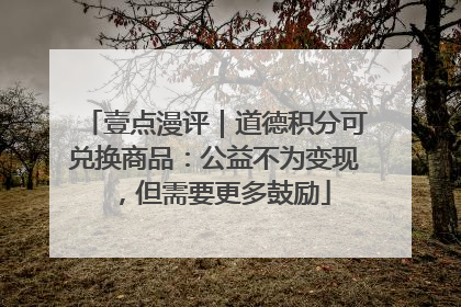 壹点漫评｜道德积分可兑换商品：公益不为变现，但需要更多鼓励