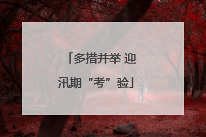 多措并举 迎汛期“考”验