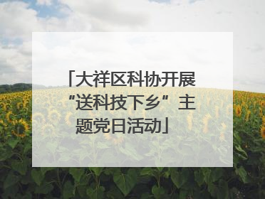 大祥区科协开展“送科技下乡”主题党日活动