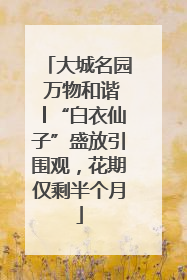 大城名园 万物和谐│“白衣仙子”盛放引围观，花期仅剩半个月