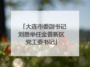 大连市委副书记刘恩举任金普新区党工委书记