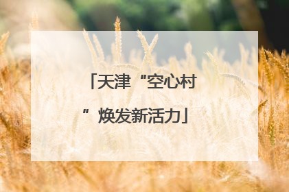 天津“空心村”焕发新活力