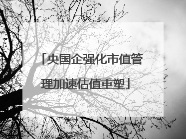 央国企强化市值管理加速估值重塑