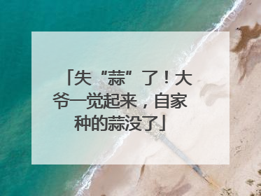 失“蒜”了！大爷一觉起来，自家种的蒜没了