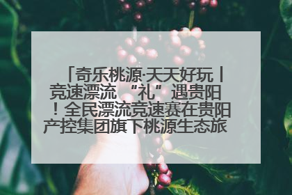 奇乐桃源·天天好玩丨竞速漂流 “礼”遇贵阳！全民漂流竞速赛在贵阳产控集团旗下桃源生态旅游度假区举行