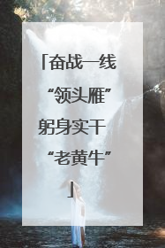 奋战一线“领头雁” 躬身实干“老黄牛”