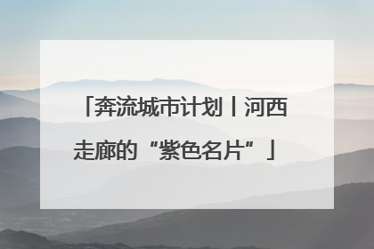 奔流城市计划丨河西走廊的“紫色名片”