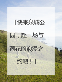 快来泉城公园，赴一场与荷花的浪漫之约吧！