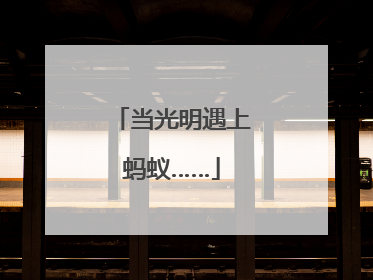 当光明遇上蚂蚁……