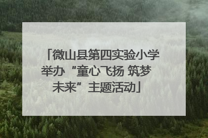 微山县第四实验小学举办“童心飞扬 筑梦未来”主题活动