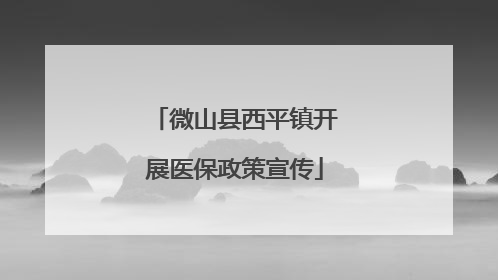 微山县西平镇开展医保政策宣传