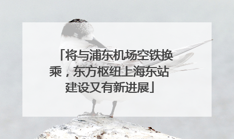 将与浦东机场空铁换乘，东方枢纽上海东站建设又有新进展