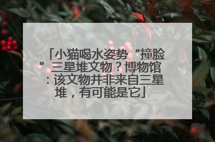 小猫喝水姿势“撞脸”三星堆文物？博物馆：该文物并非来自三星堆，有可能是它