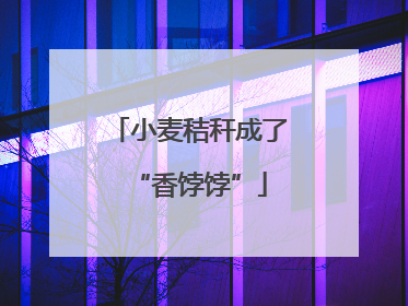 小麦秸秆成了“香饽饽”