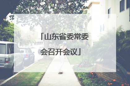山东省委常委会召开会议