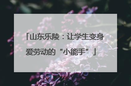 山东乐陵：让学生变身爱劳动的“小能手”