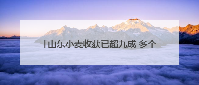 山东小麦收获已超九成 多个高产品种测产超800公斤