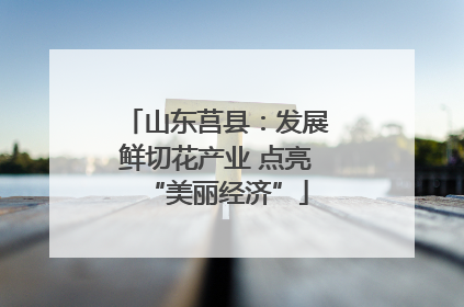 山东莒县：发展鲜切花产业 点亮“美丽经济”