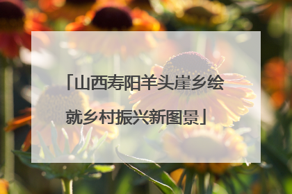 山西寿阳羊头崖乡绘就乡村振兴新图景