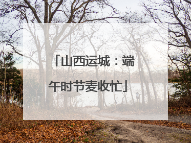 山西运城：端午时节麦收忙