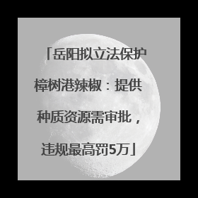 岳阳拟立法保护樟树港辣椒：提供种质资源需审批，违规最高罚5万