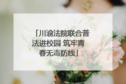 川渝法院联合普法进校园 筑牢青春无毒防线