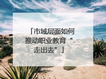 市域层面如何推动职业教育“走出去”