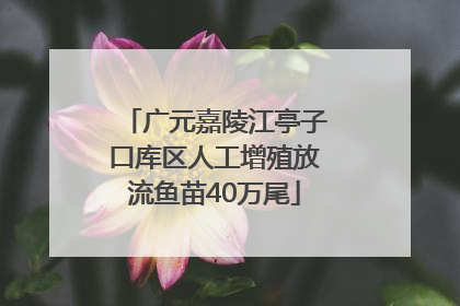 广元嘉陵江亭子口库区人工增殖放流鱼苗40万尾