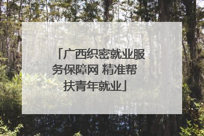 广西织密就业服务保障网 精准帮扶青年就业