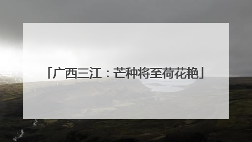 广西三江：芒种将至荷花艳
