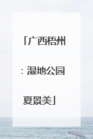 广西梧州：湿地公园夏景美