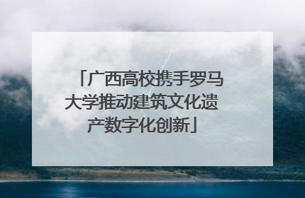 广西高校携手罗马大学推动建筑文化遗产数字化创新