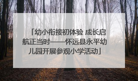 幼小衔接初体验 成长启航正当时——怀远县永平幼儿园开展参观小学活动