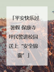 平安快乐过暑假 保康寺坪民警进校园送上“安全锦囊”