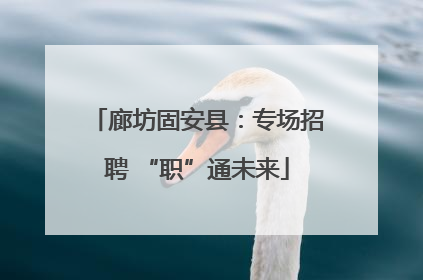 廊坊固安县：专场招聘 “职”通未来