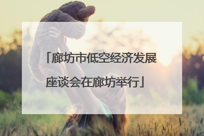 廊坊市低空经济发展座谈会在廊坊举行