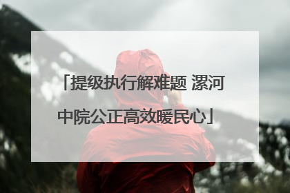提级执行解难题 漯河中院公正高效暖民心