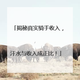 揭秘真实骑手收入，汗水与收入成正比！