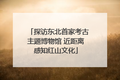 探访东北首家考古主题博物馆 近距离感知红山文化