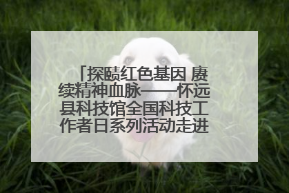 探赜红色基因 赓续精神血脉——怀远县科技馆全国科技工作者日系列活动走进怀远县实验中学